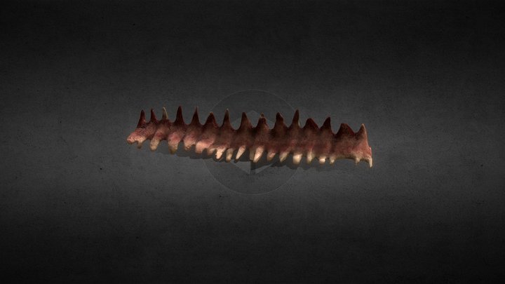 [TIOW40K-A3] Bone Terrain Piece 3D Model