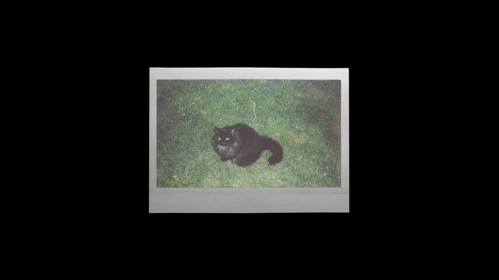 Instax Wide film print of a cat 3D Model