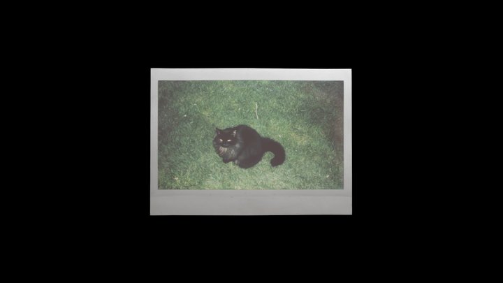Poloroid picture-Instax Wide film print of a cat 3D Model