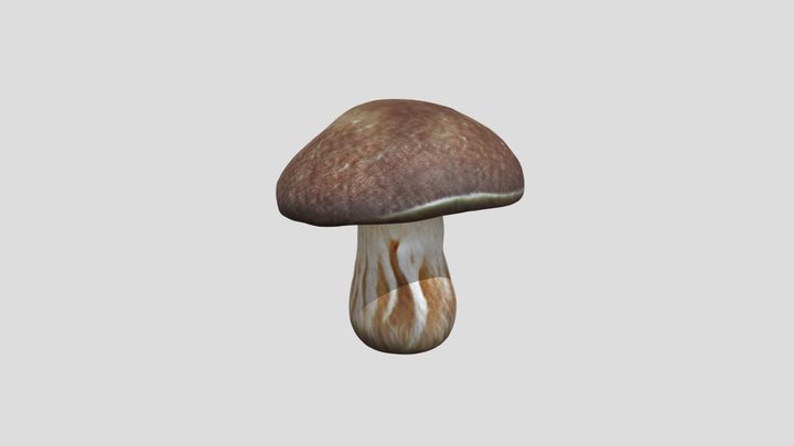 Realistic_mushroom 3D Model