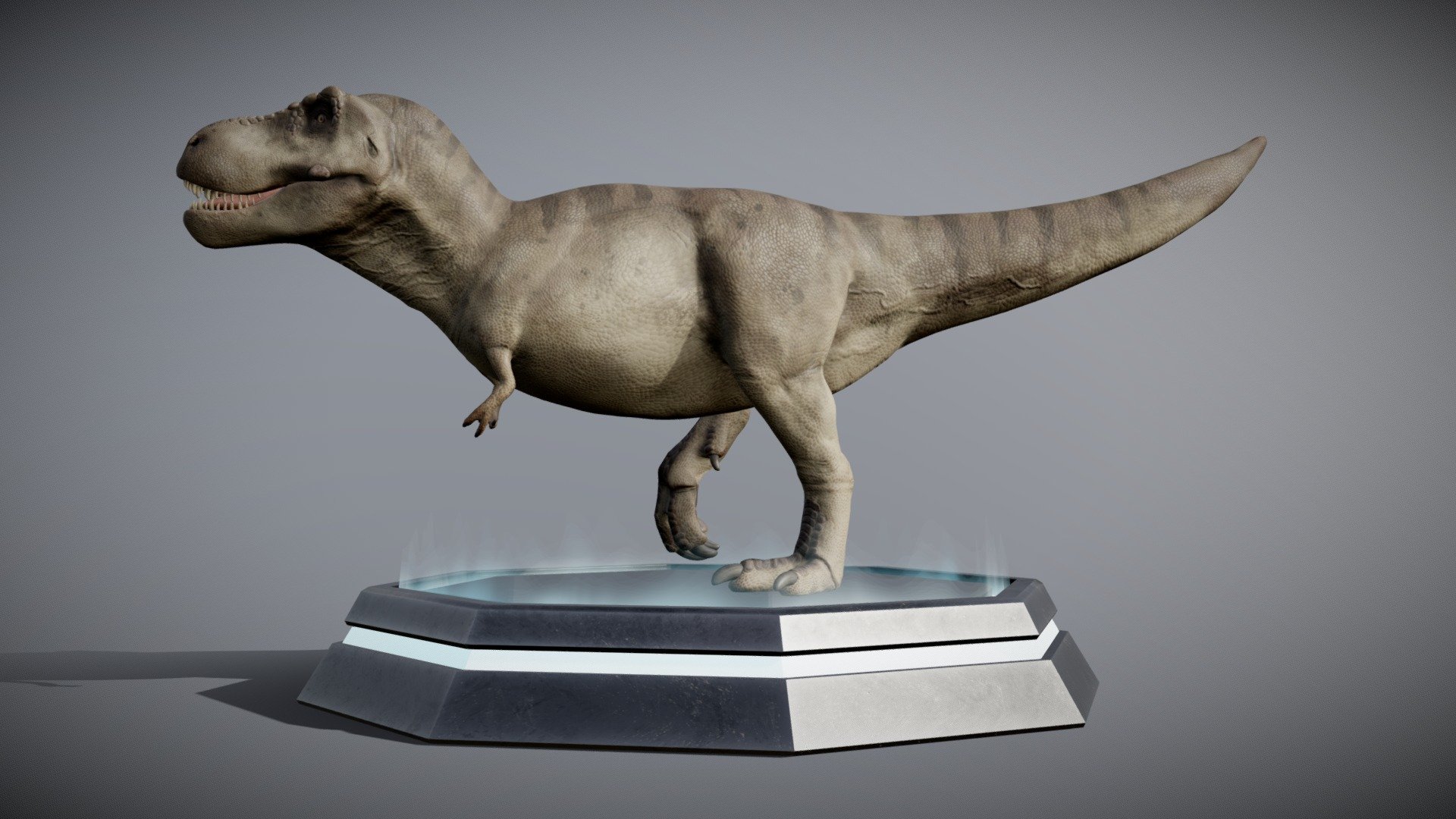 3D model Tyrannosaurus Rex Sue Real Dinosaur Series VR / AR / low-poly