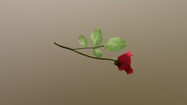 Rose 3D Model