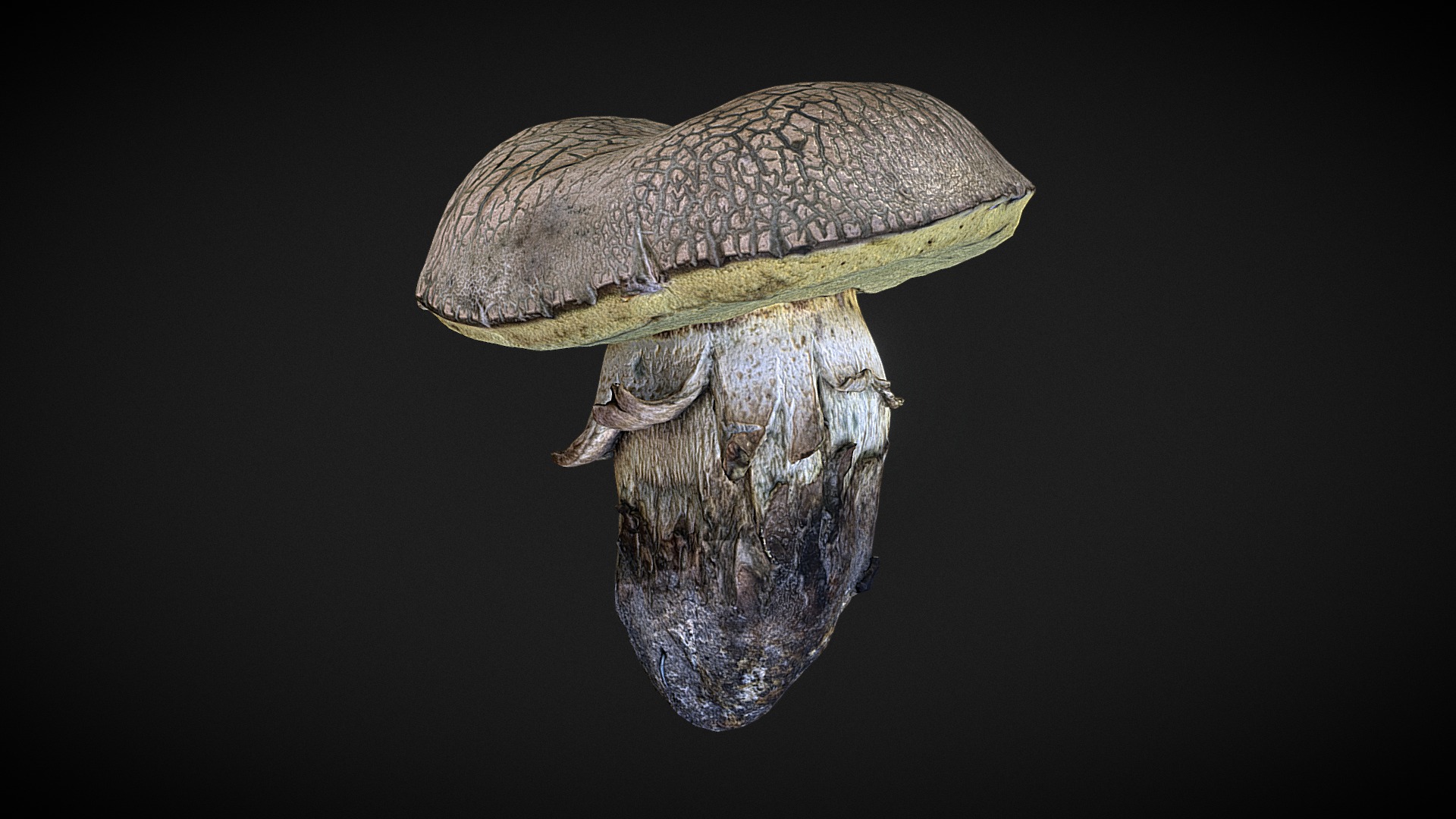 3D model mushroom 15 - This is a 3D model of the mushroom 15. The 3D model is about a snail with a long tail.