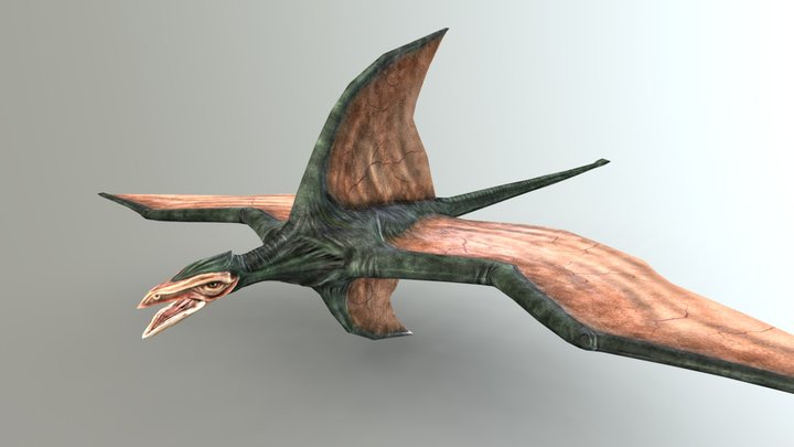 Cliff Racer (old) 3D Model
