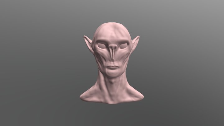 Falmer transition to Snowelf (student) 3D Model