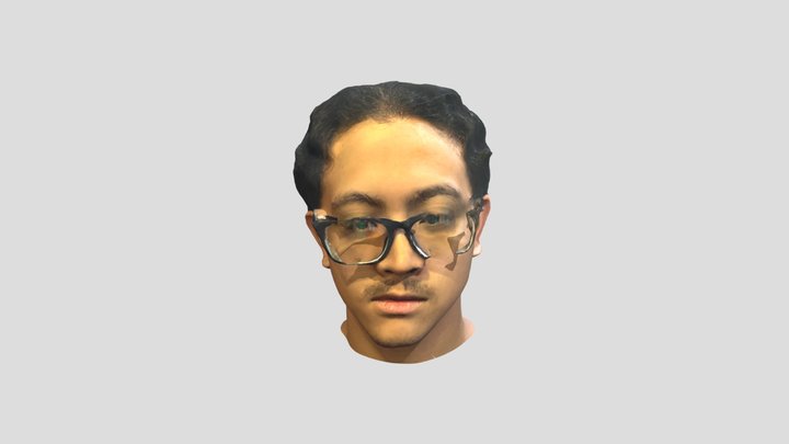 Aidan's Head 3D Model