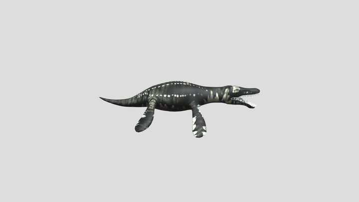 Liopleurodon CGTrader Model 3D Model