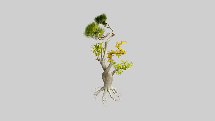 SPACE10 Carbon Banks Tree 3D Model