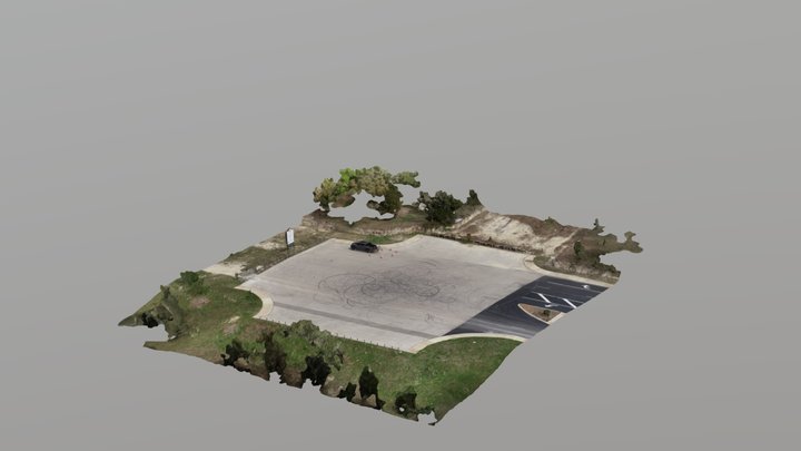 Project 00003 Simplified 3d Mesh 3D Model