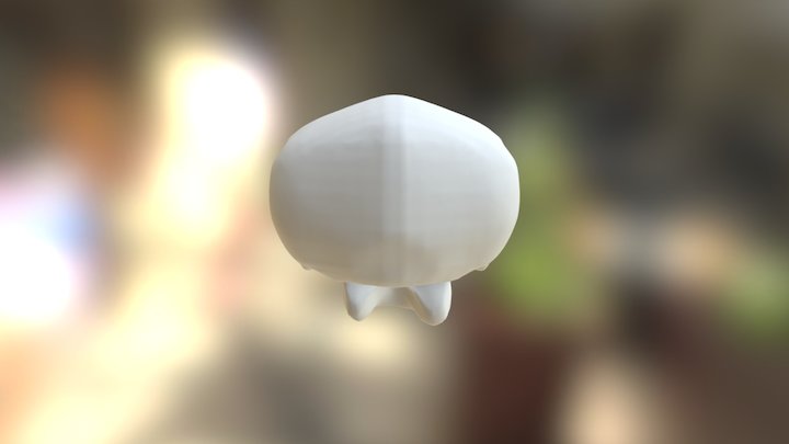 Skull 3D Model
