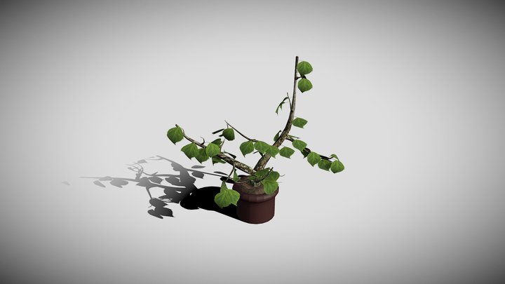 wk8_Endsley_Aidan_0032514216 3D Model