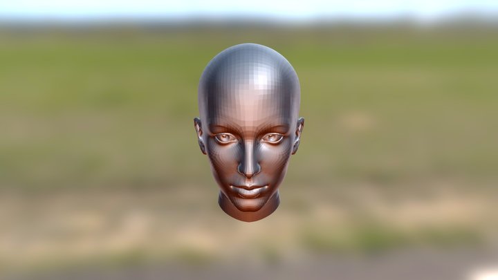 Head And Skkull V02 3D Model