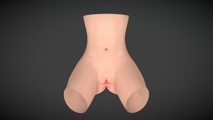 Vagina 3D Model