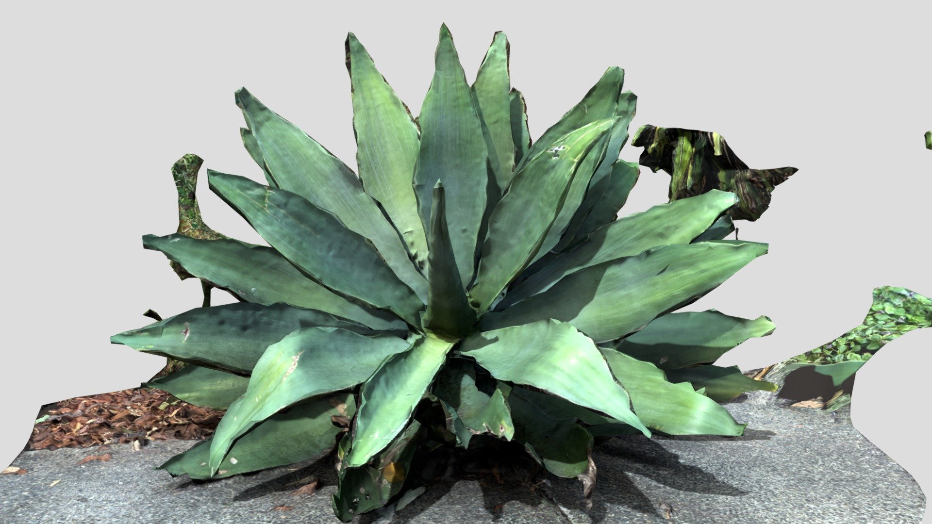 BIGLEAF Reduced Quality