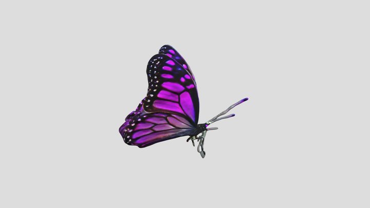2e879913f988_purple_butterfly 3D Model