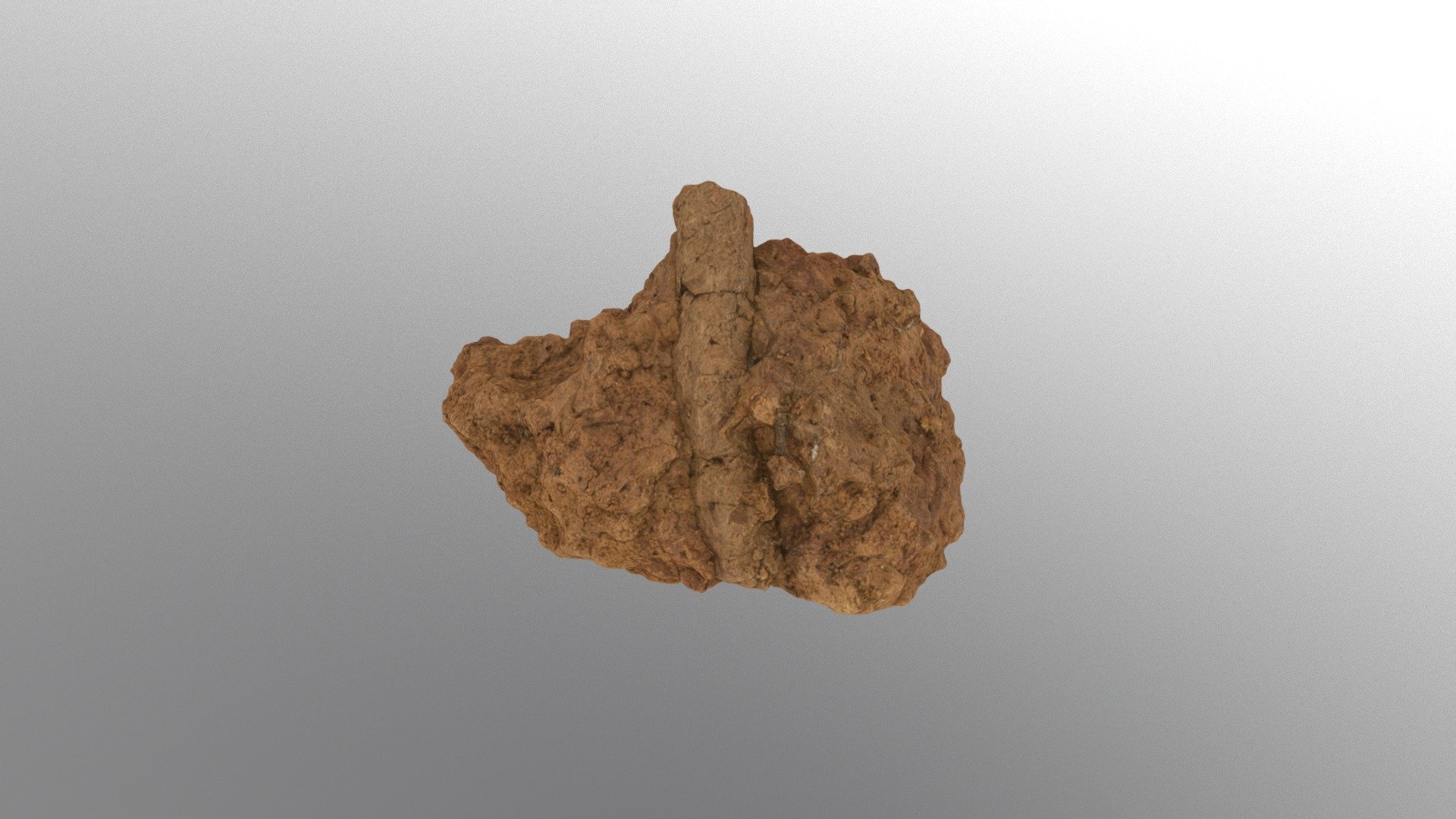 Krotovina