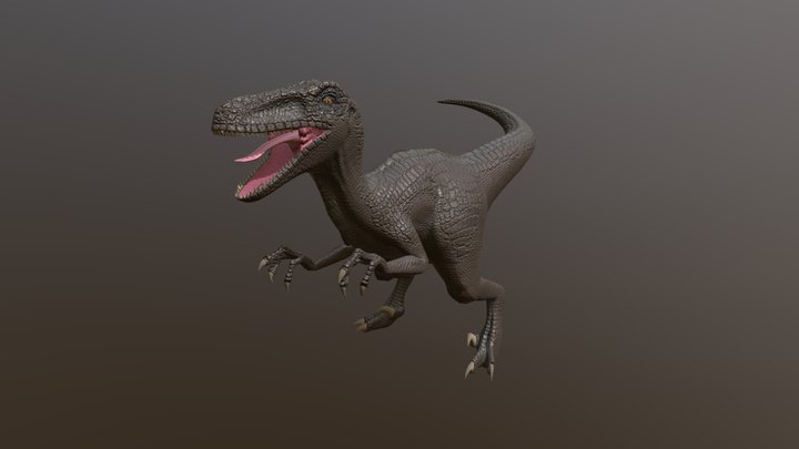 Raptor 3D Model