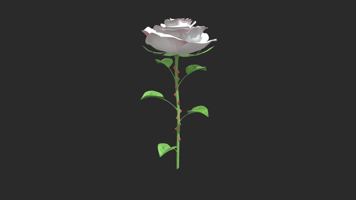 Romantic rose 3D Model