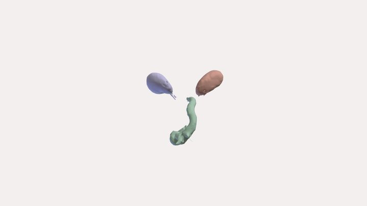 Kidney and Aorta Segmentation 3D Model