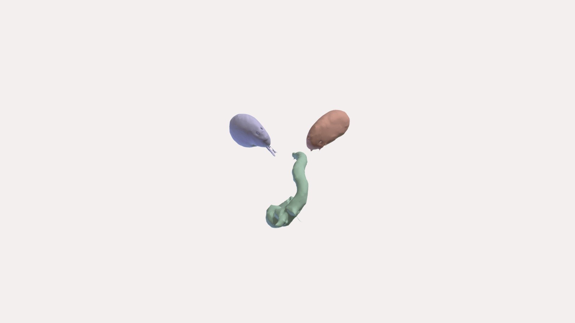 Kidney and Aorta Segmentation