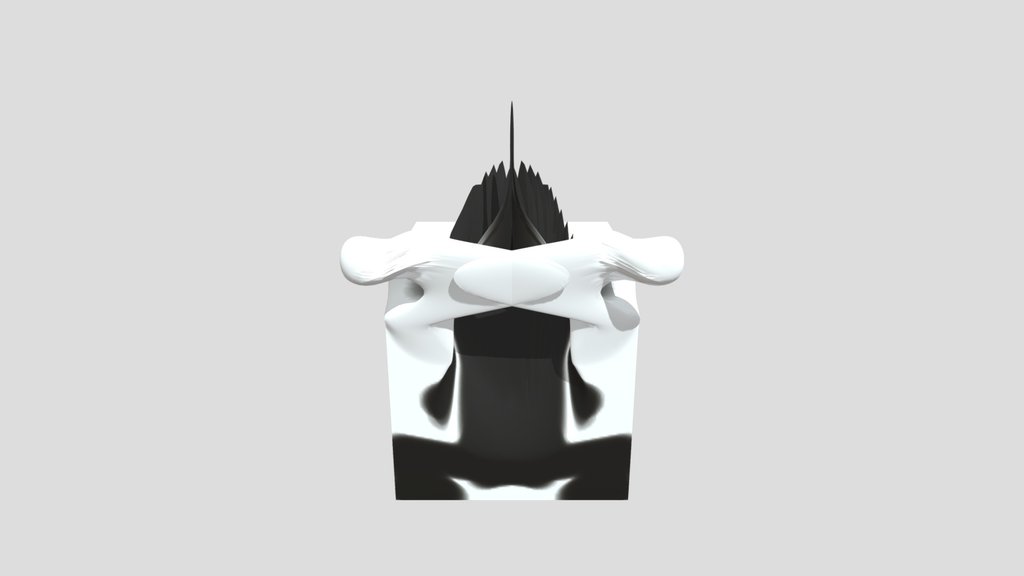 LUCAS_I_your Mesh (4)