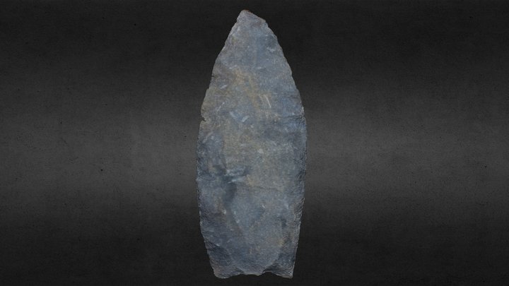 Clovis Projectile Point 3D Model