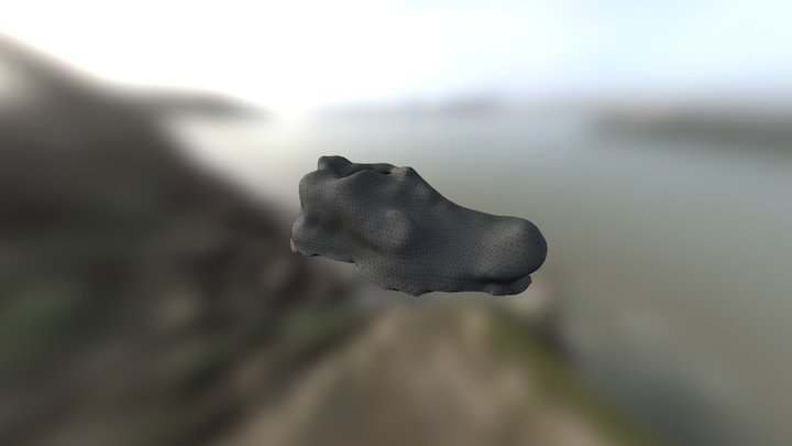 Shoe Model (1) 3D Model