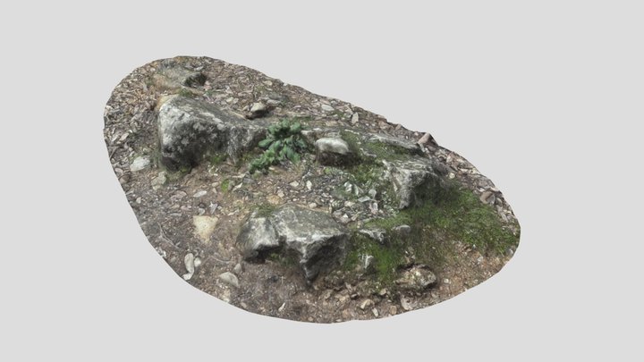 Photogrammetry Scan of a Rock_002 3D Model