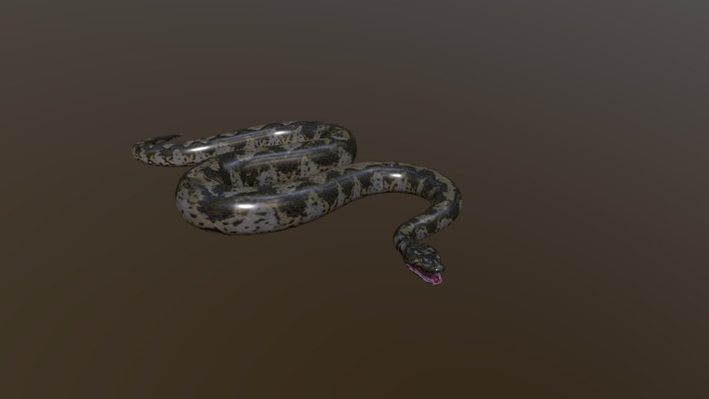 Snake Titanoboa by Dino Raul
