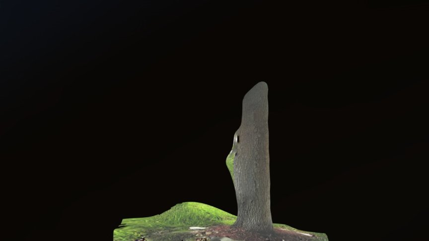tree1