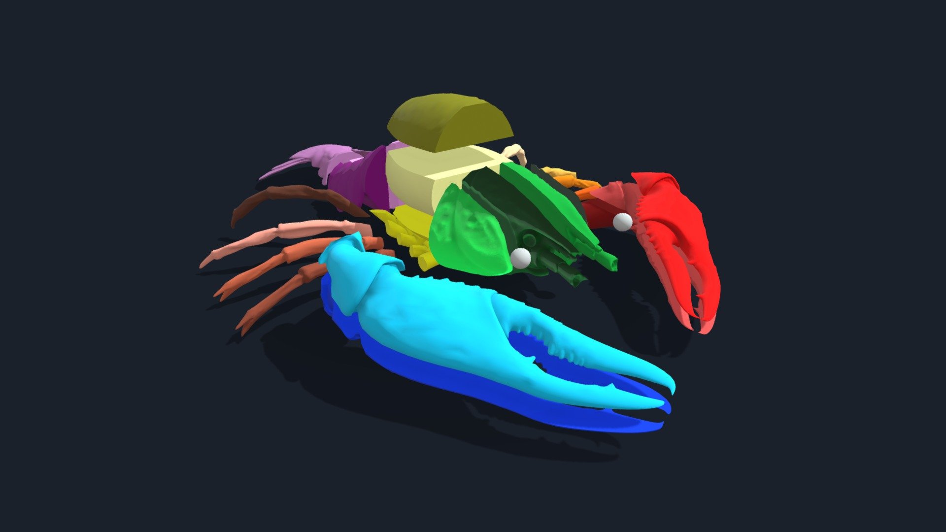 CrawfishExloded View - 3D model by Lamar3D [ce9259c] - Sketchfab