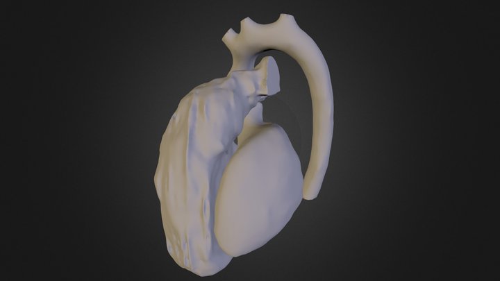 Heart model 3D Model