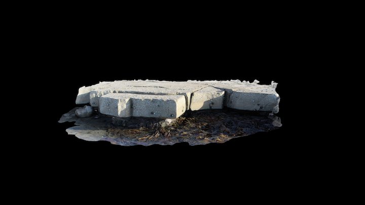 Intertidal Rocky Outcrop - 3D SFM Model 3D Model