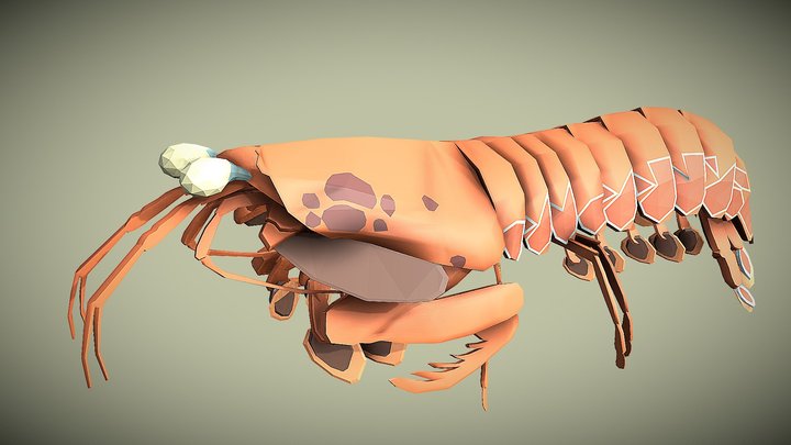 low poly mantis shrimp 3D Model