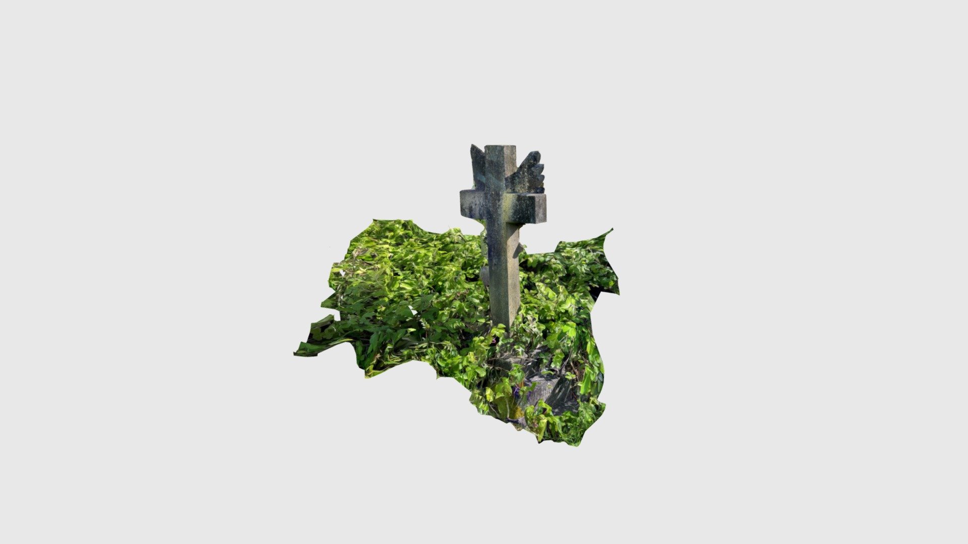Arnos Angel
