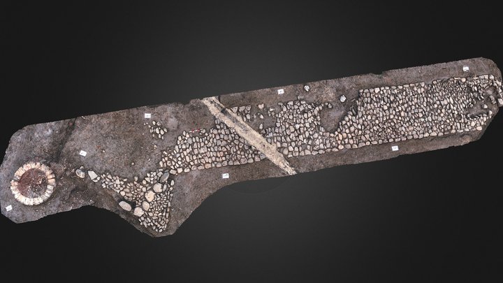 V1 3D Model