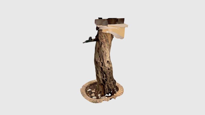 Tronc olivier tronc 3D Model
