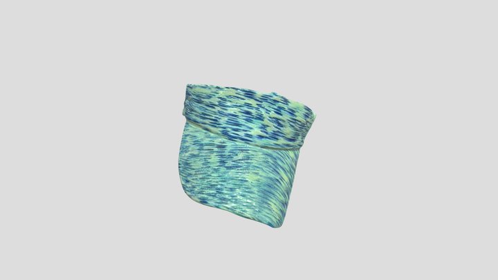 Visor