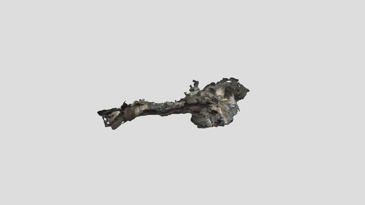 Cueva de maltravieso (sala de pinturas) 3D Model
