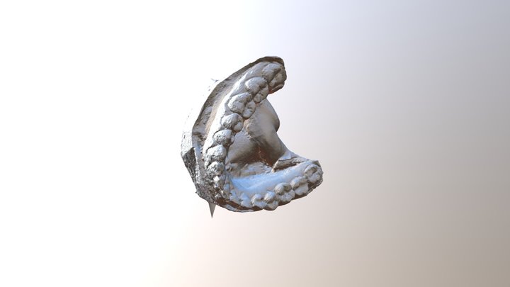 mandibola 3D Model