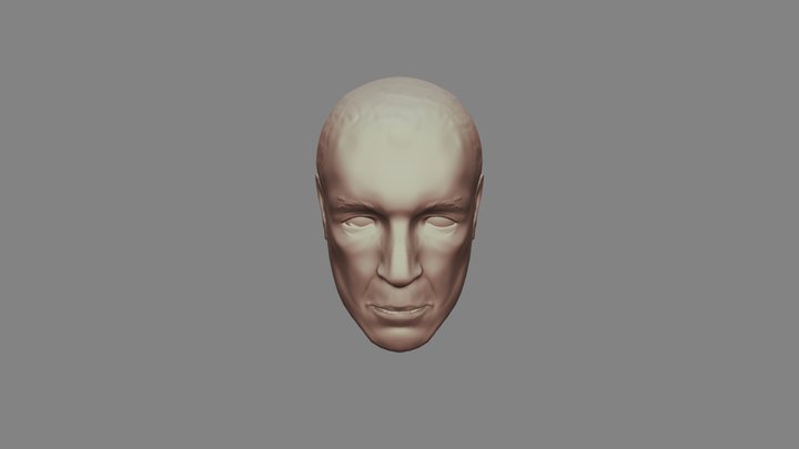 Bust 3D Model