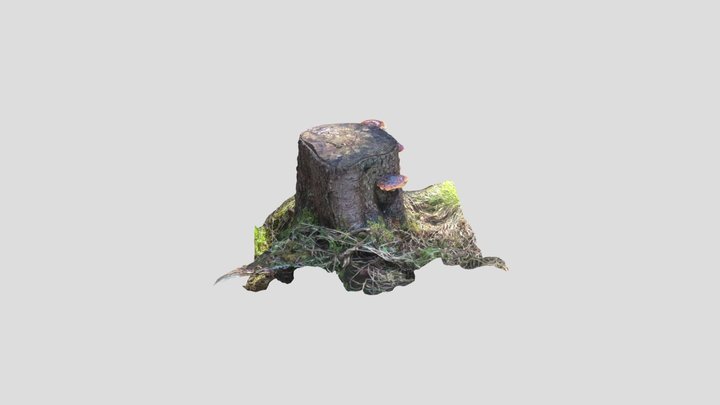 stump 02