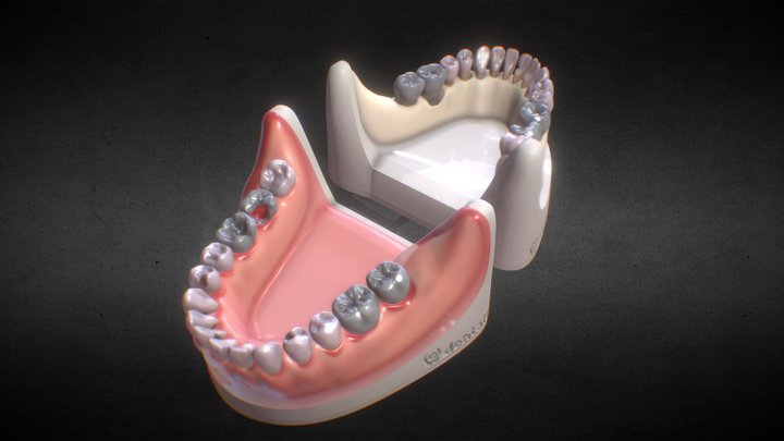 ATT-Lowjaw toweb 3D Model