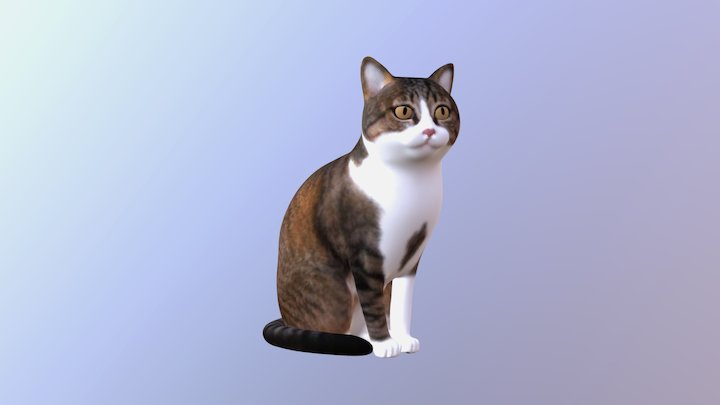 3D Cat - Bibi 3D Model