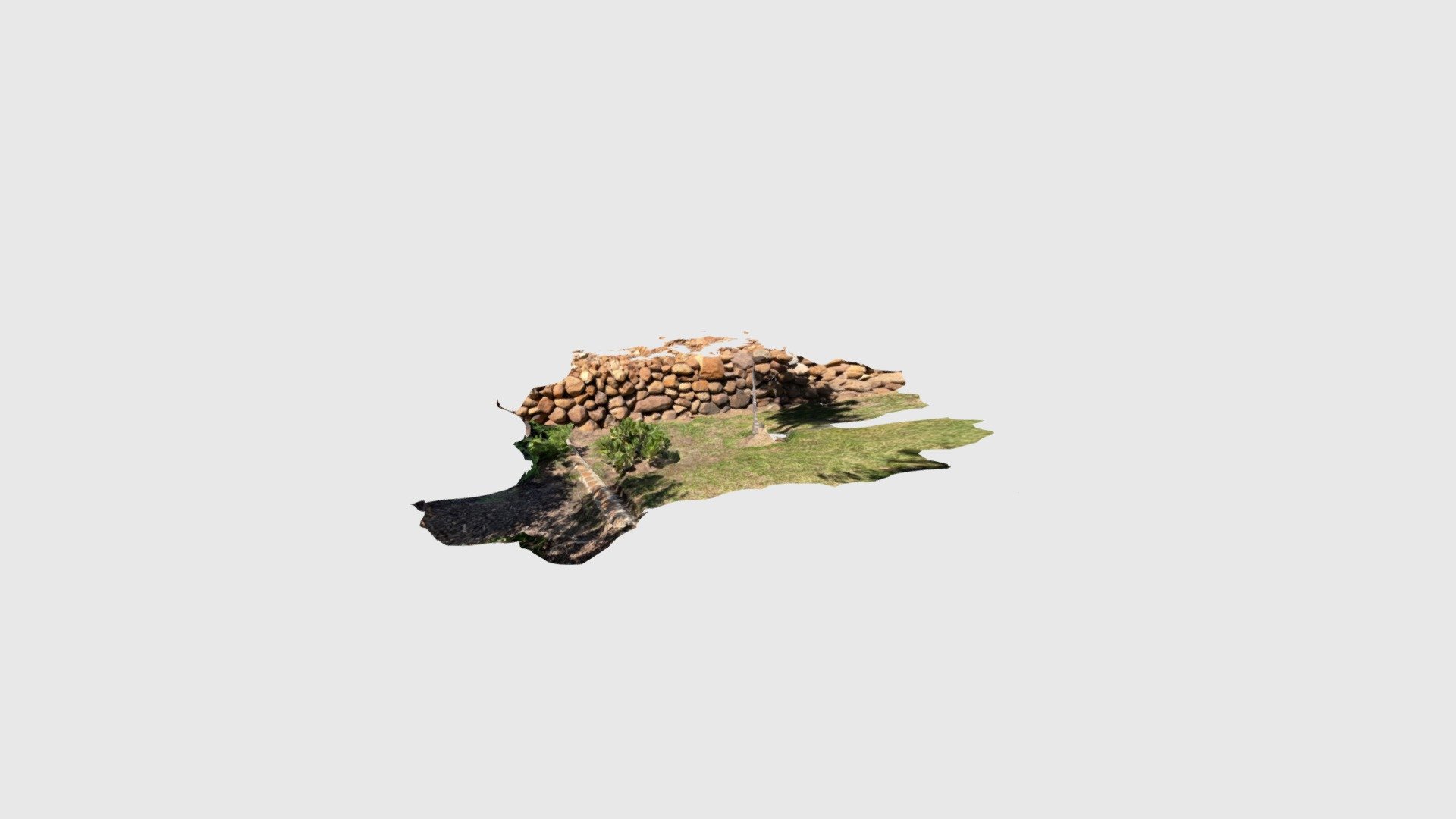 Plant