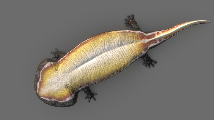 Koolasuchus 3D Model