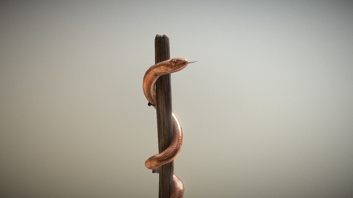 Copper Serpent 3D Model