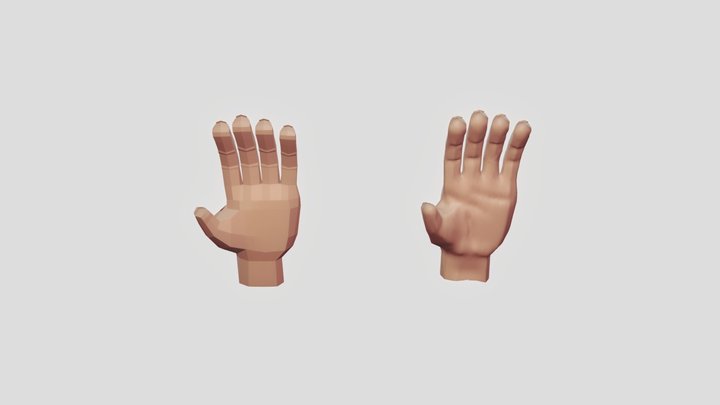 Hand Both(final) 3D Model