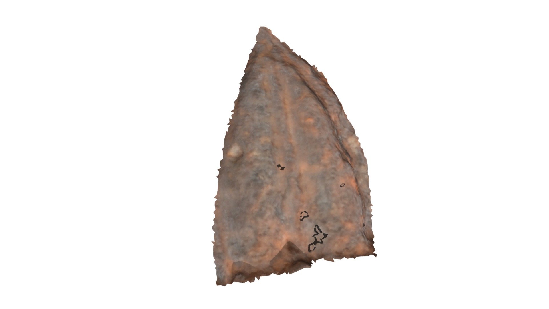 C8 - aurochs MNIR