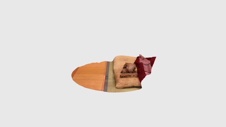 2023-12-05_こたつに包まる犬 3D Model